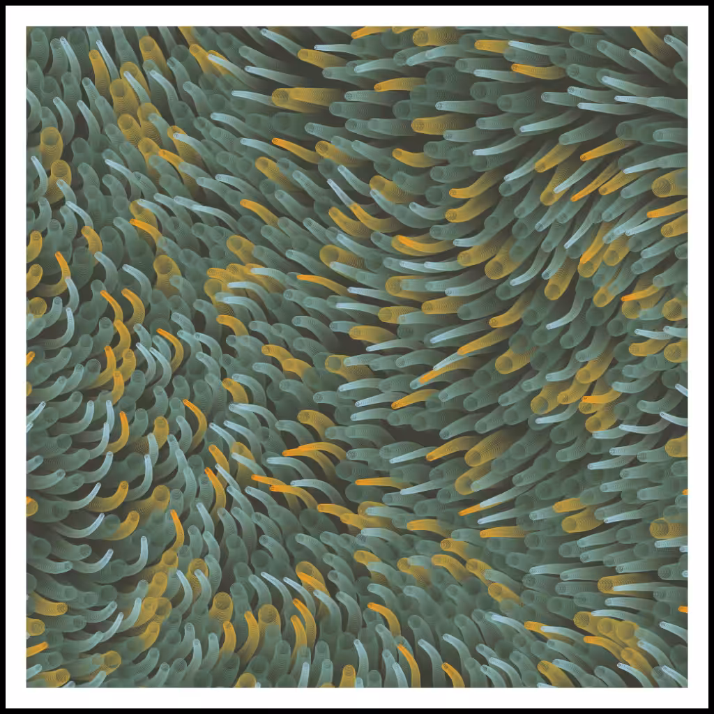 Studies of Motion  #19