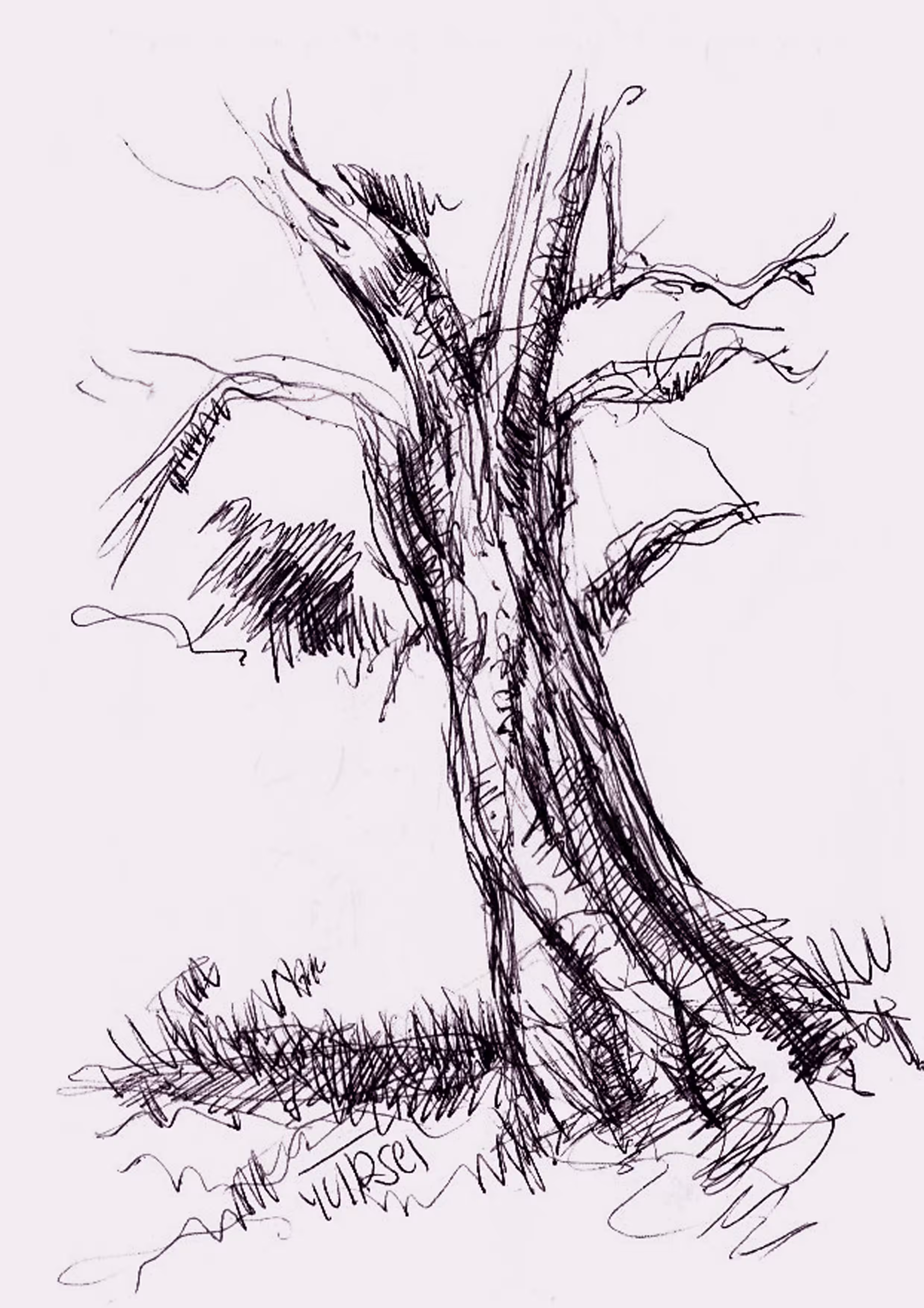 single tree