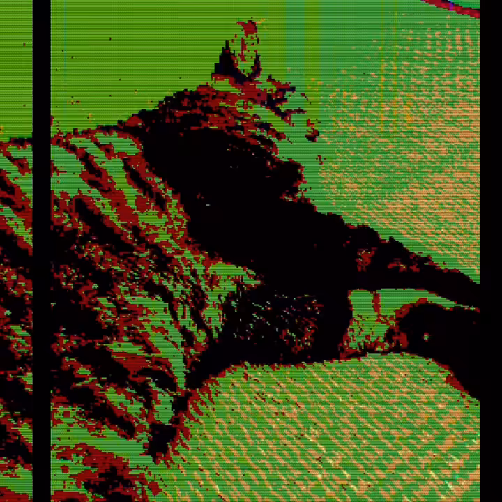 glitched cats 002