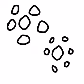 Doodlidood Does Hen 3