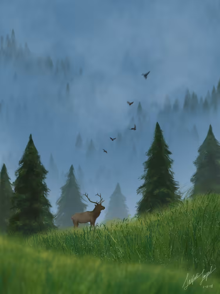 Elk in the Fog #1