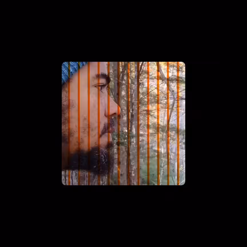 Kalimba Glitch 003