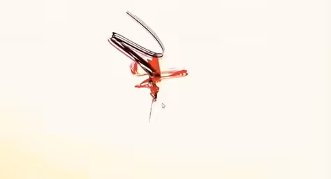 Rouge Lorentz Attractor