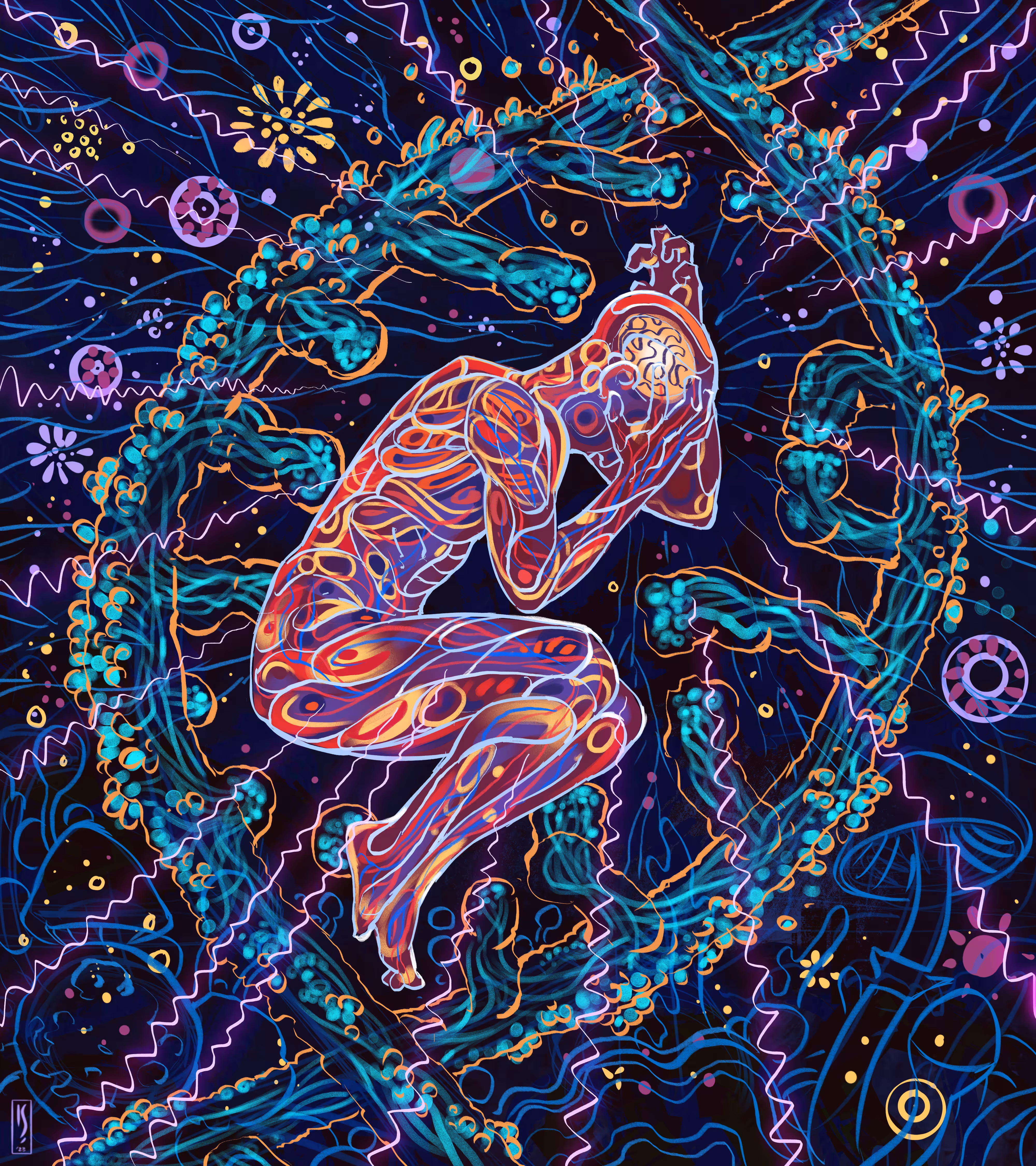 Transmutation