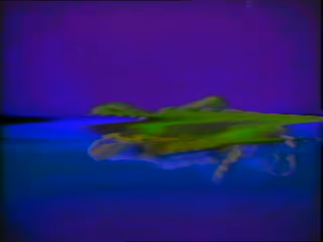 Tiny Turt