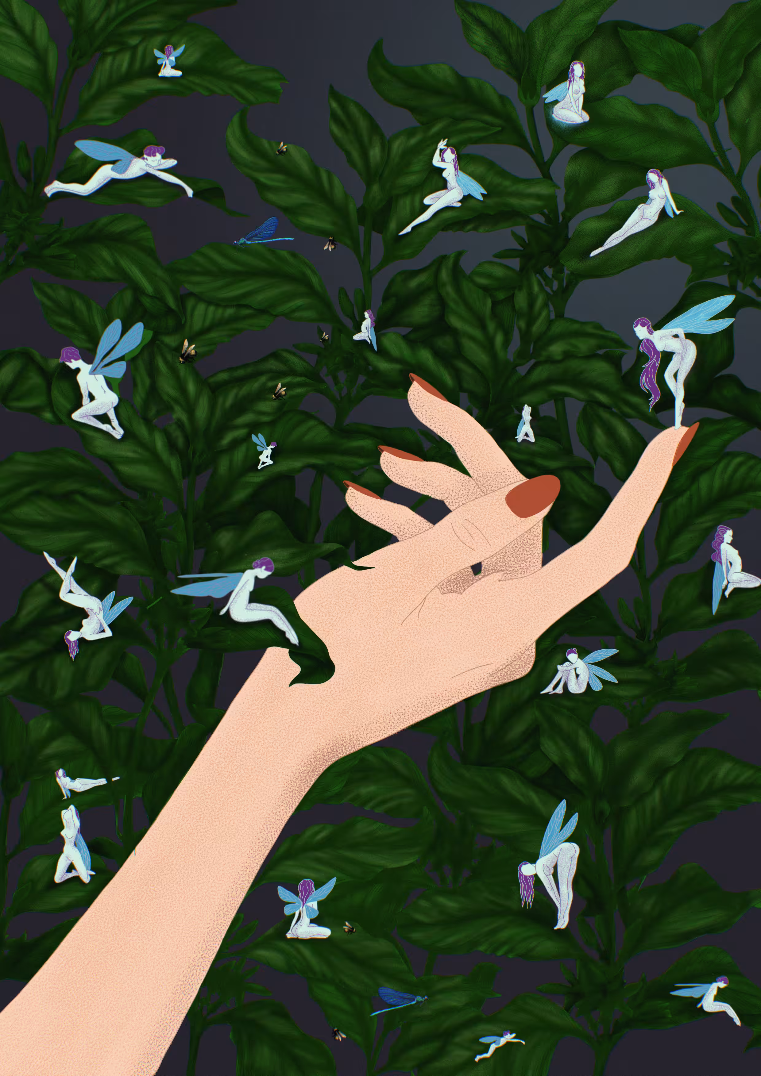 • the faeries court •
