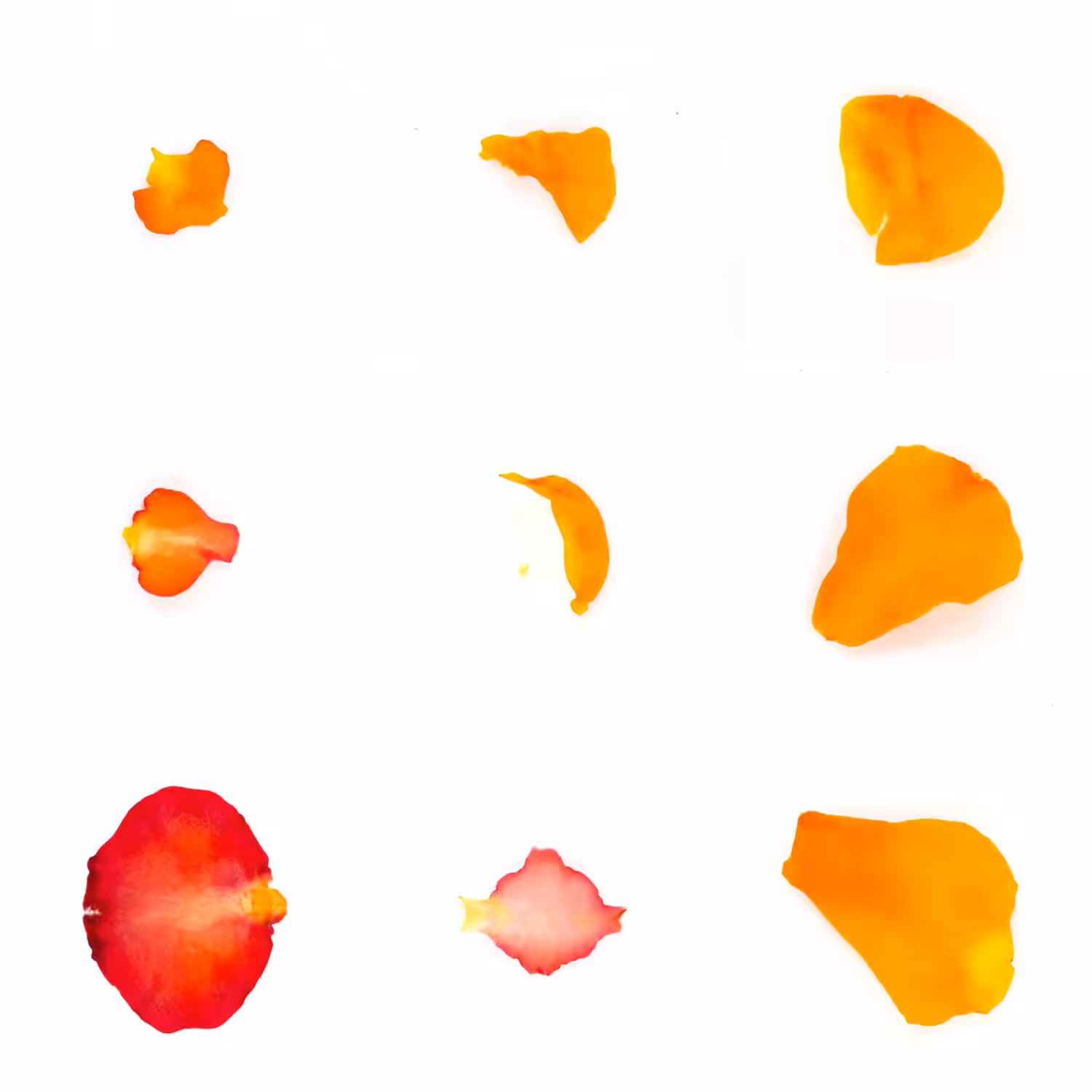 Infinite Petals 3x3#350