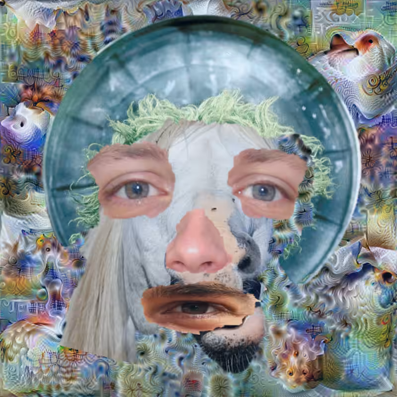 A collage of collages #237