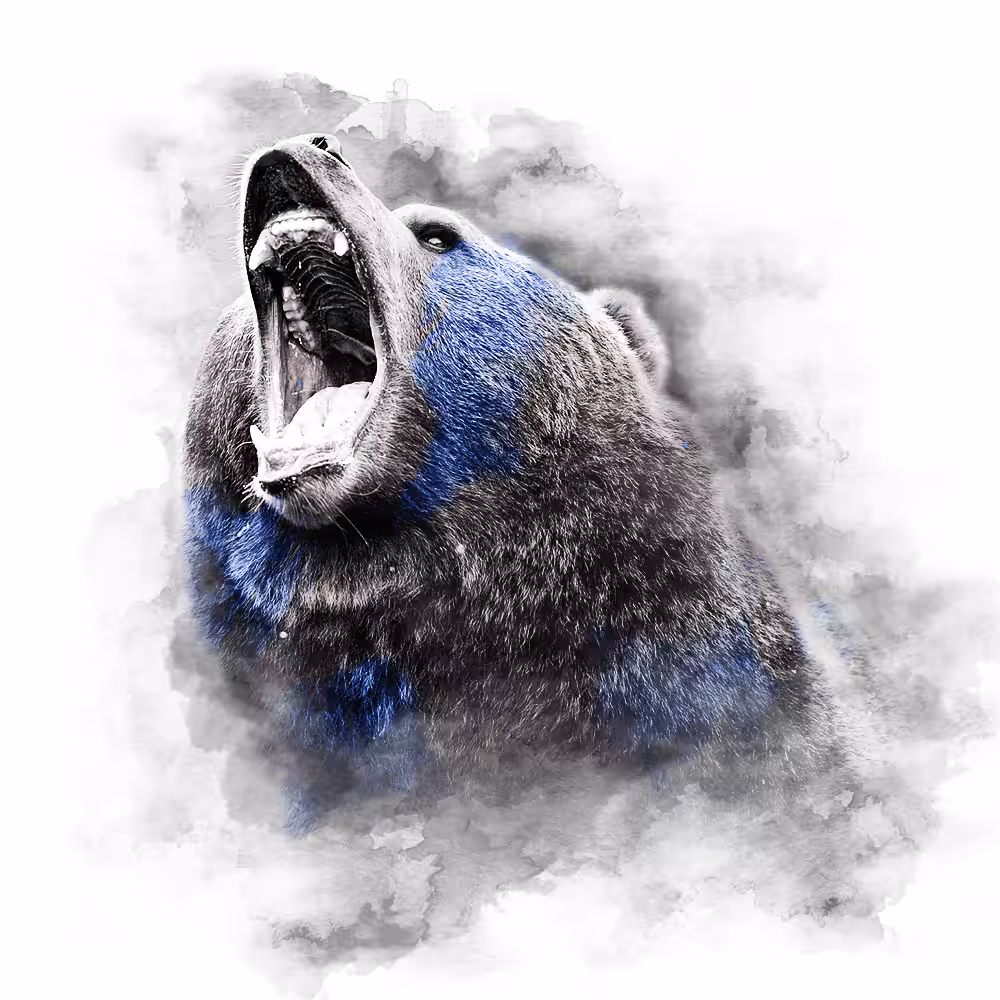 BLUE SERIES - BEAR