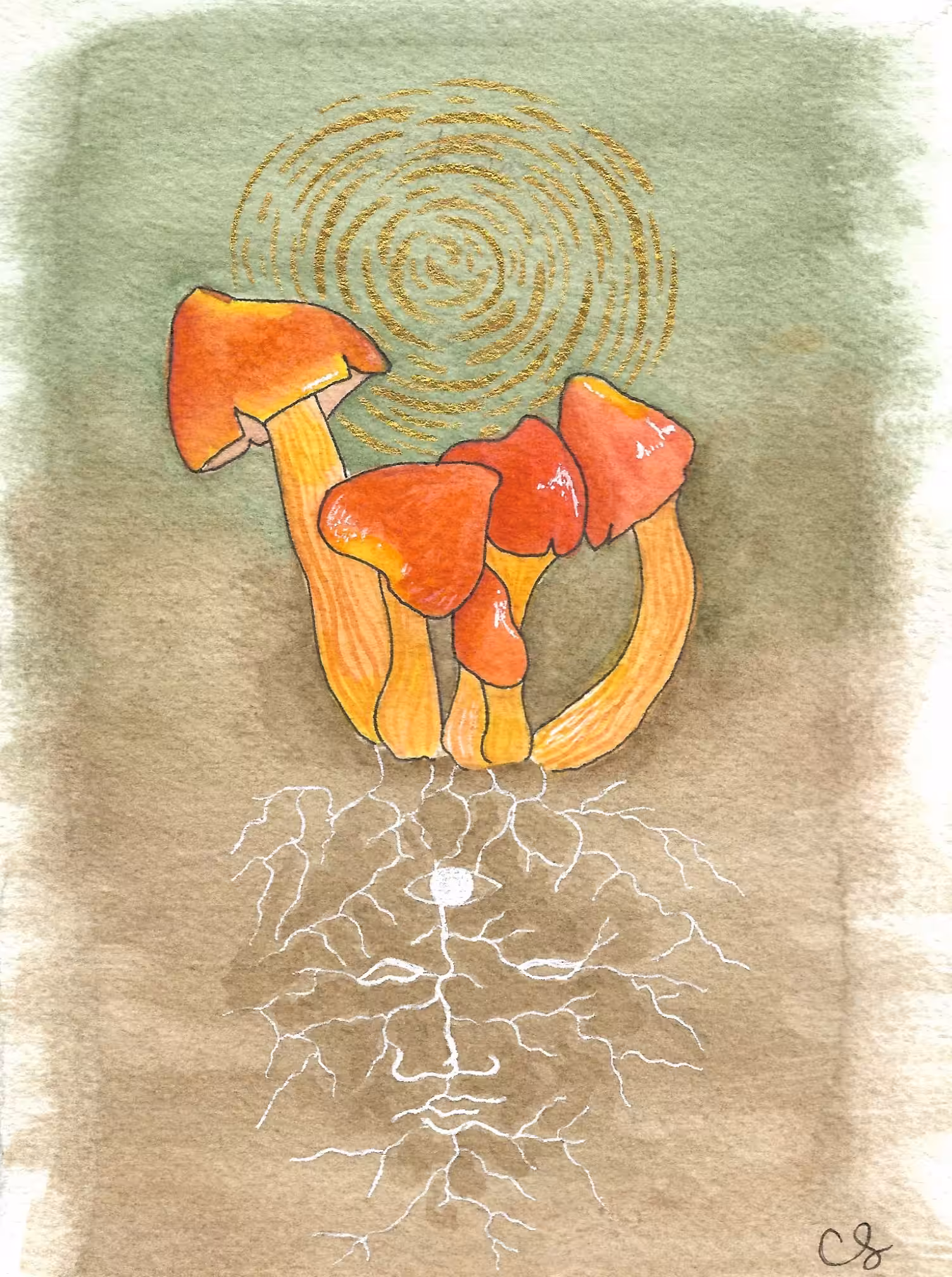 Hygrophorus Coccineus 