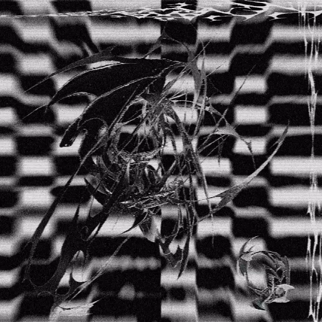 [prəˈsɛʃ(ə)n]