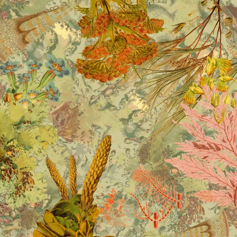 future flora from Antarctica's past #39
