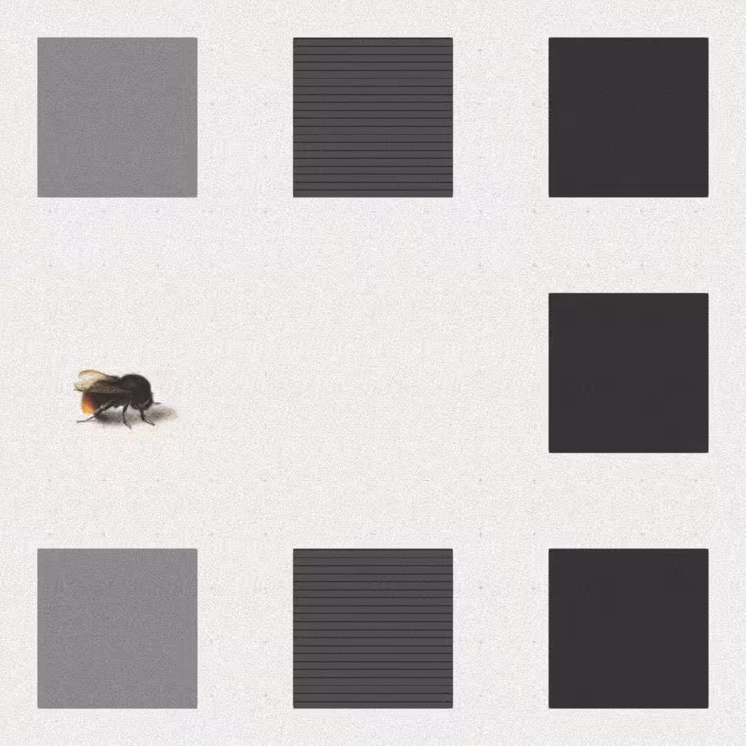Bee #87