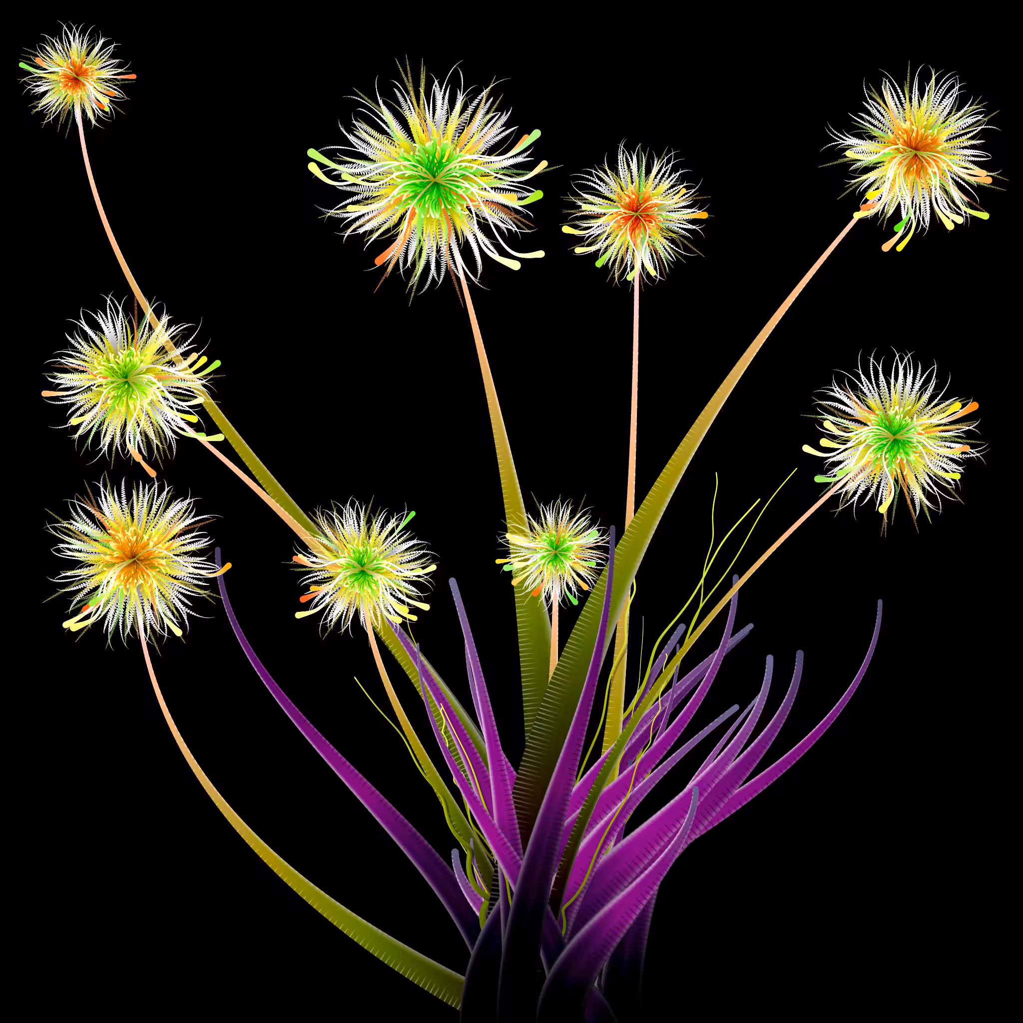 Milena’s Flowers #35