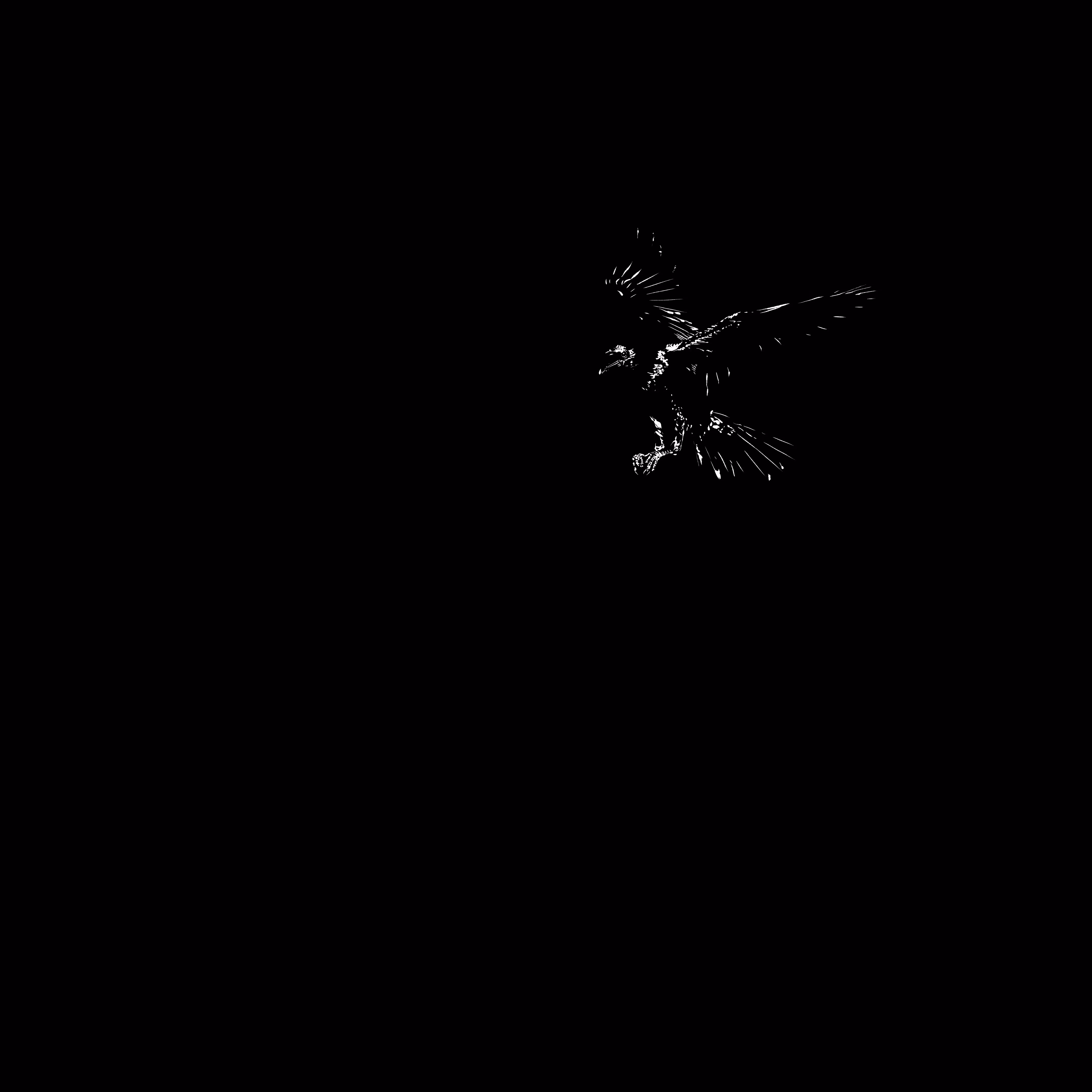 The Crow