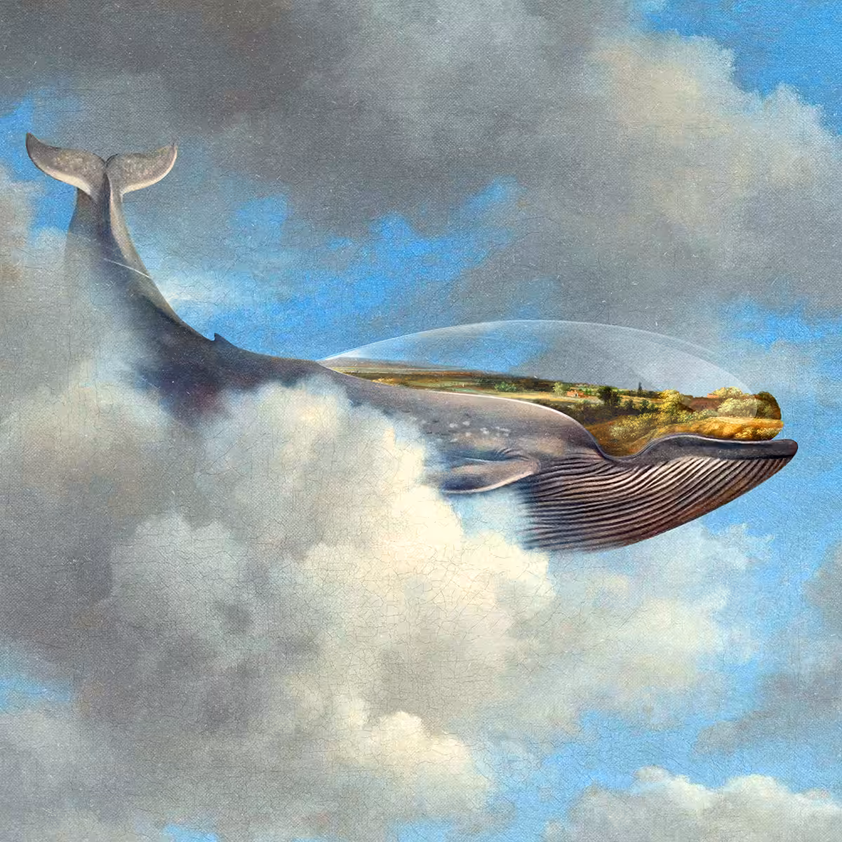 The Whale