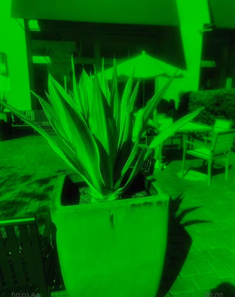 Red Glitch Before The Green Bloom