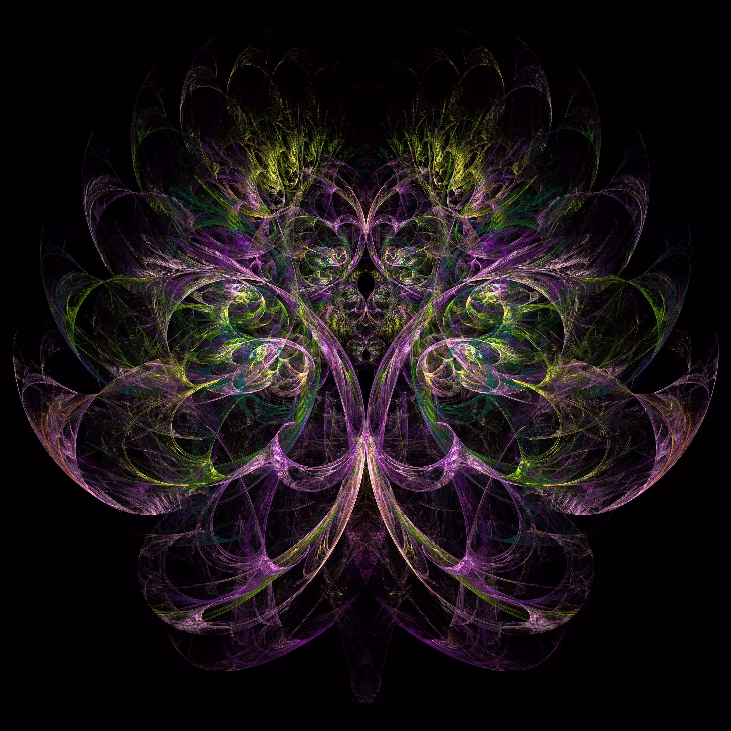 Fractal Oracle