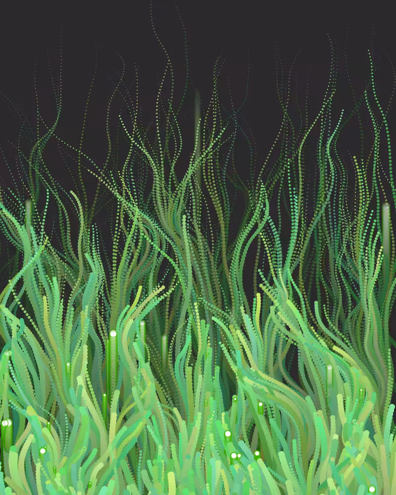 Waterweed #11