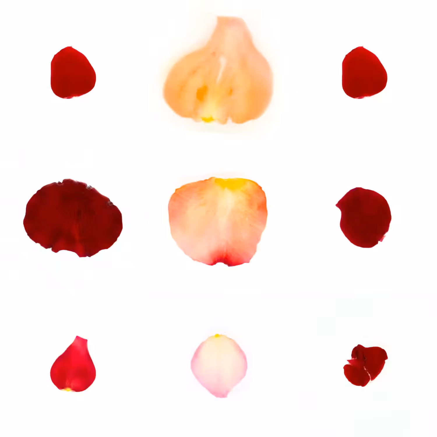 Infinite Petals 3x3#3505
