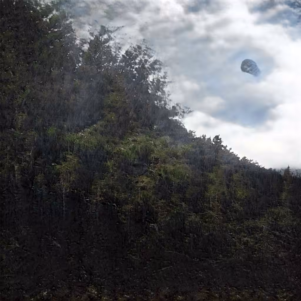 Fabricating Future Forests 0049