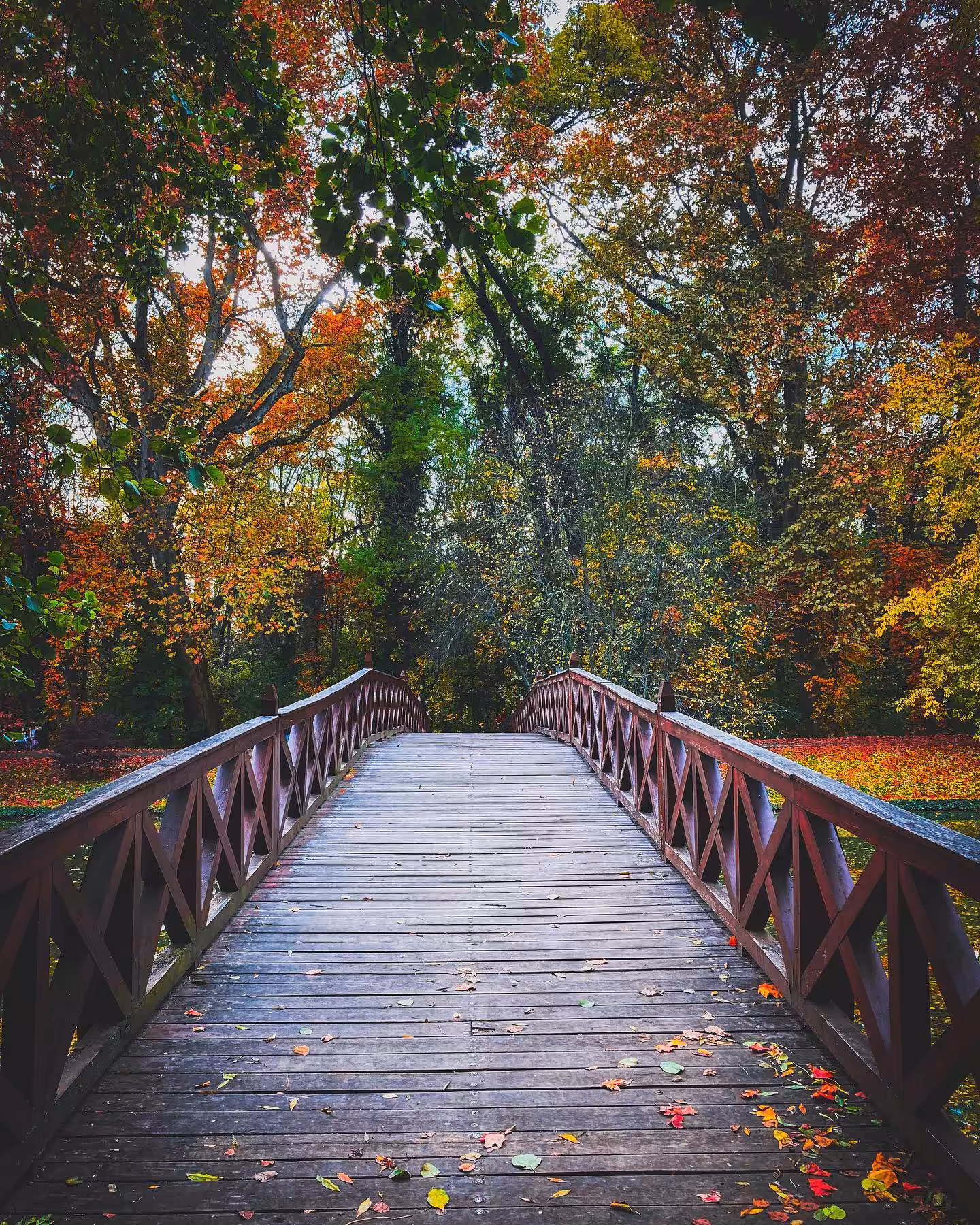 Wanderlens: Phone-Captured Horizons
