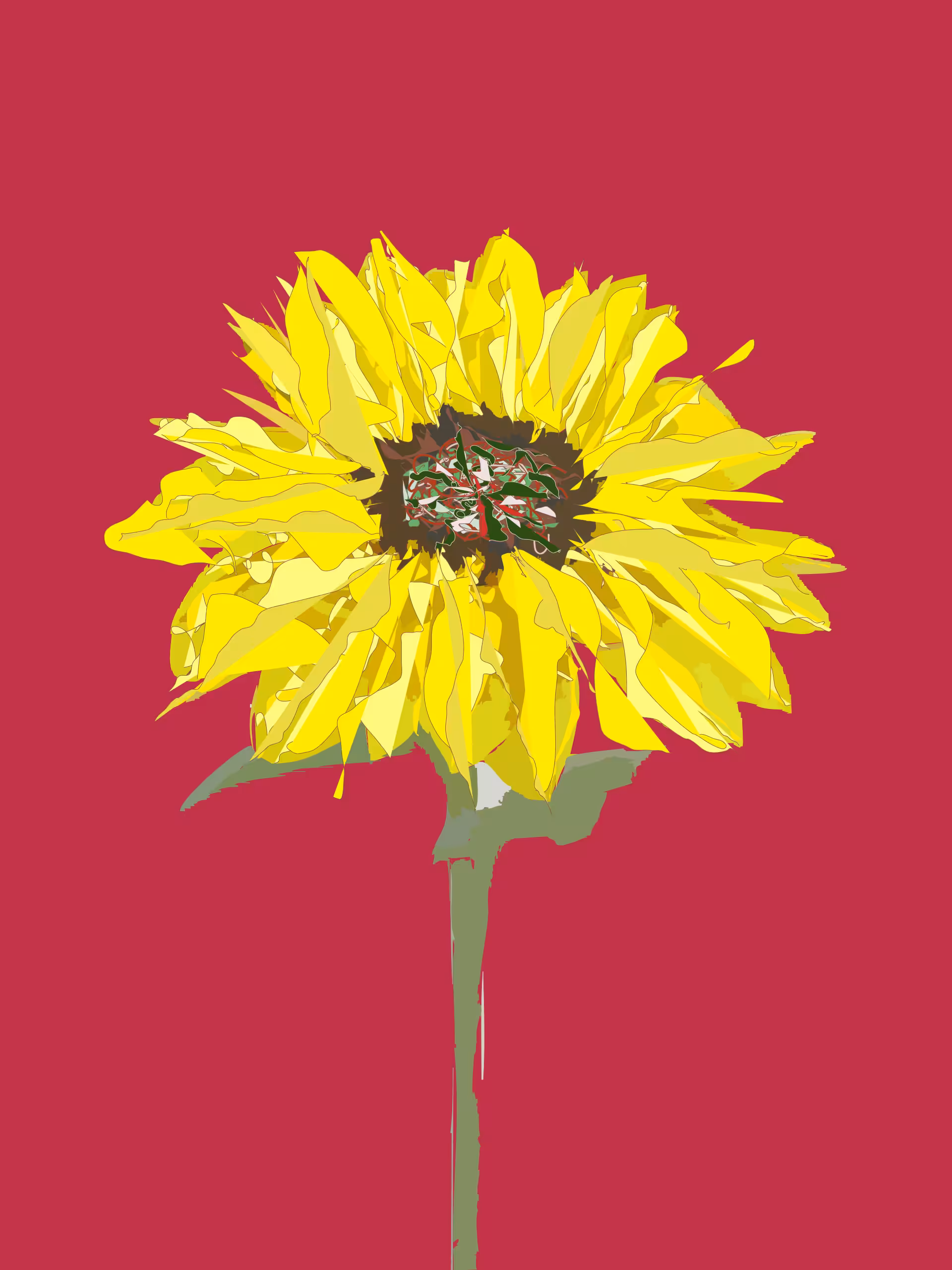 Sunflower on Red Background