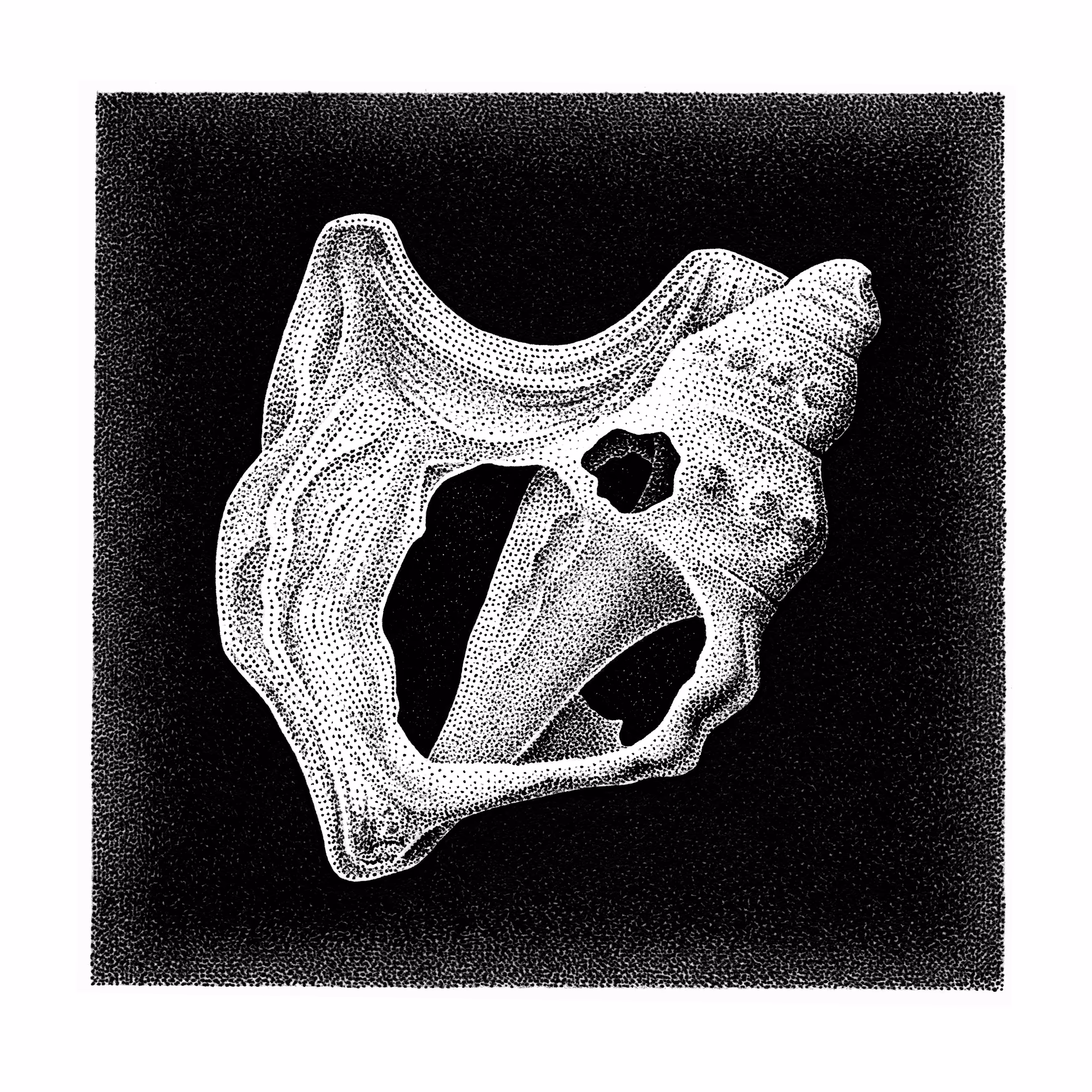 broken_shell_4