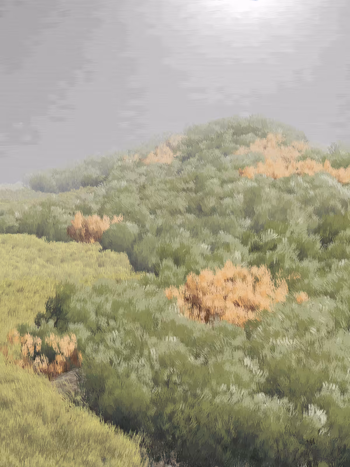 Provence #99