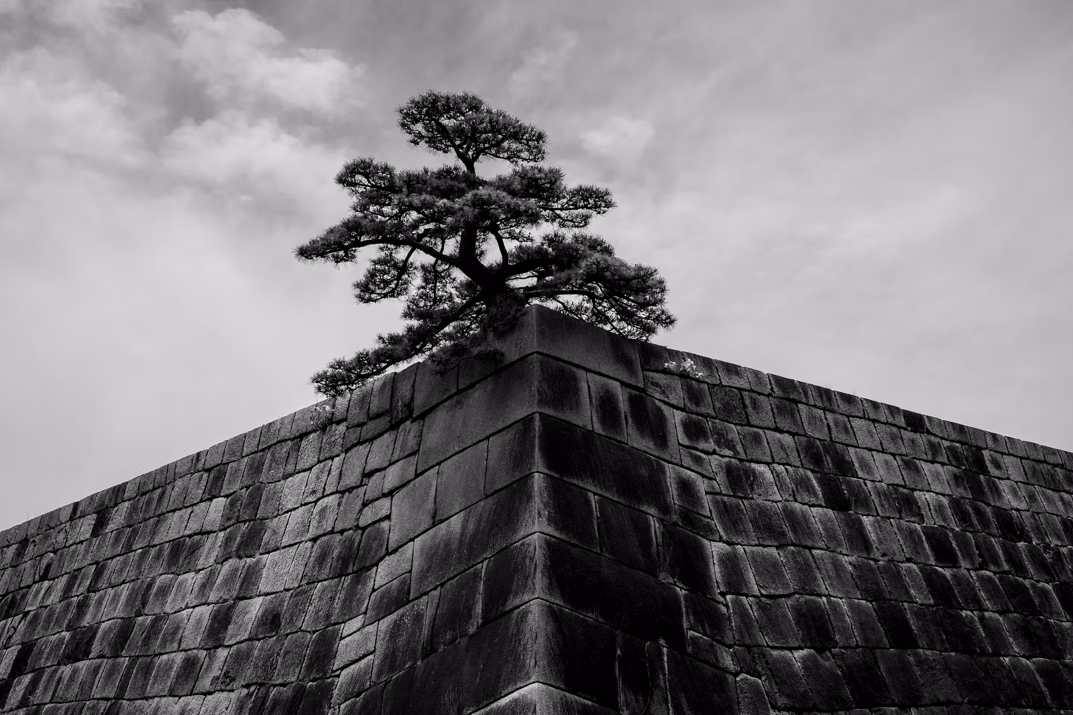 Wabi-Sabi