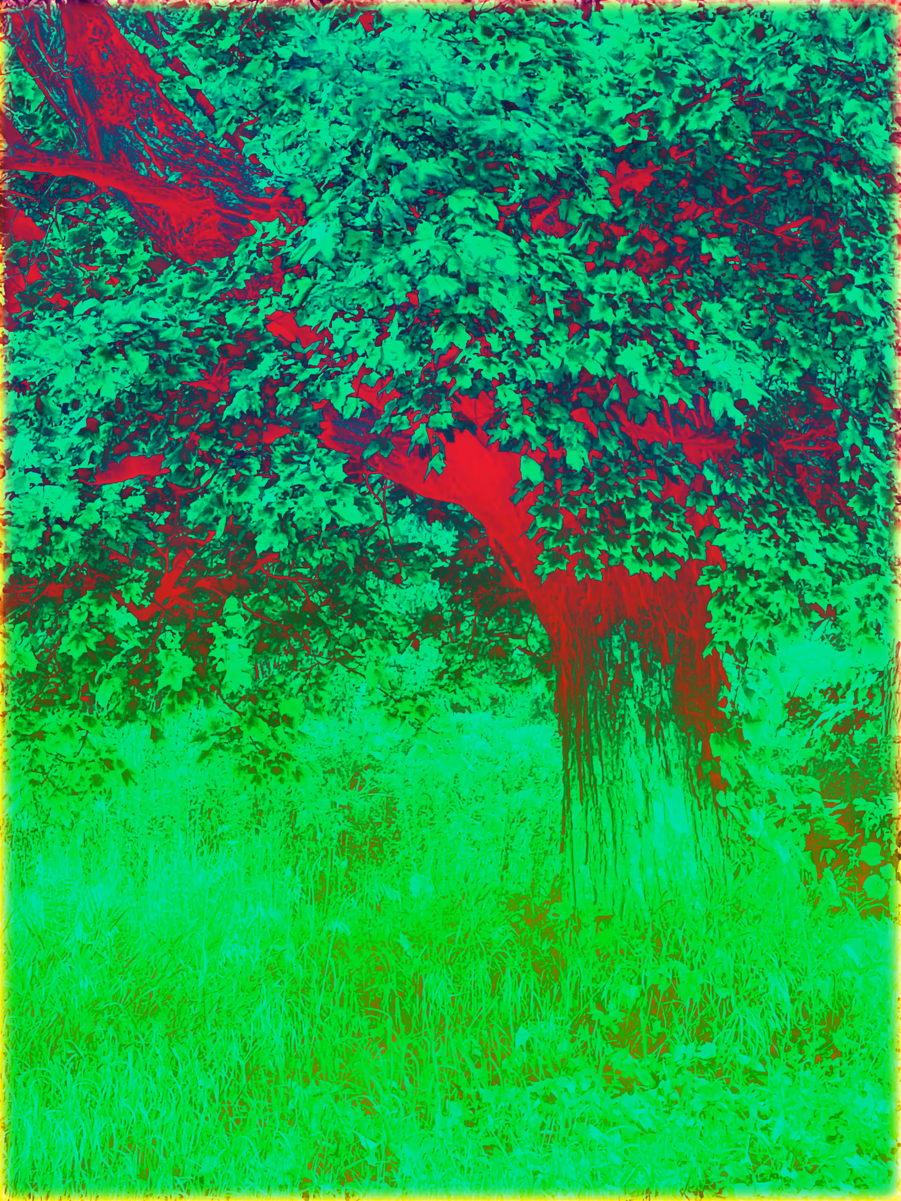 The tree of the future.