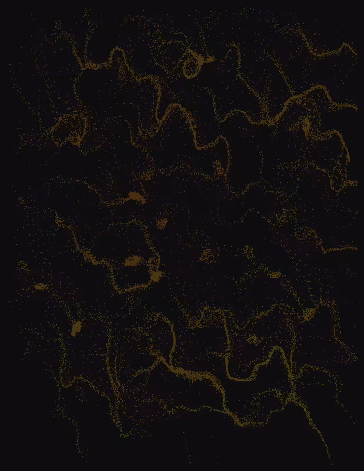 fx(flowField) #123