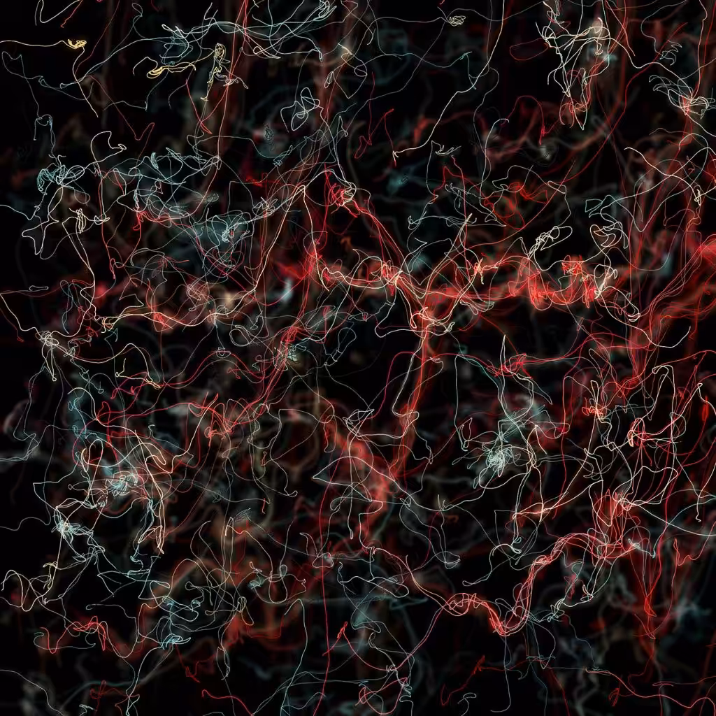 Neurolinks Live