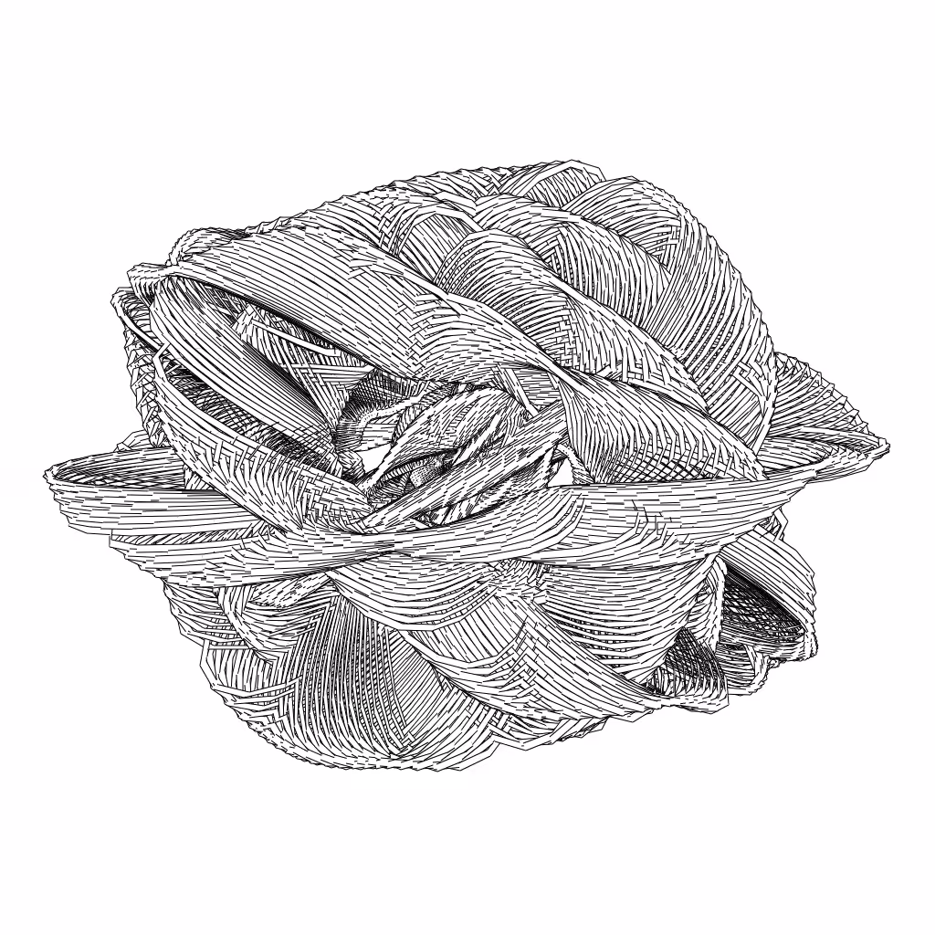 LL21 Entangled (3) #7