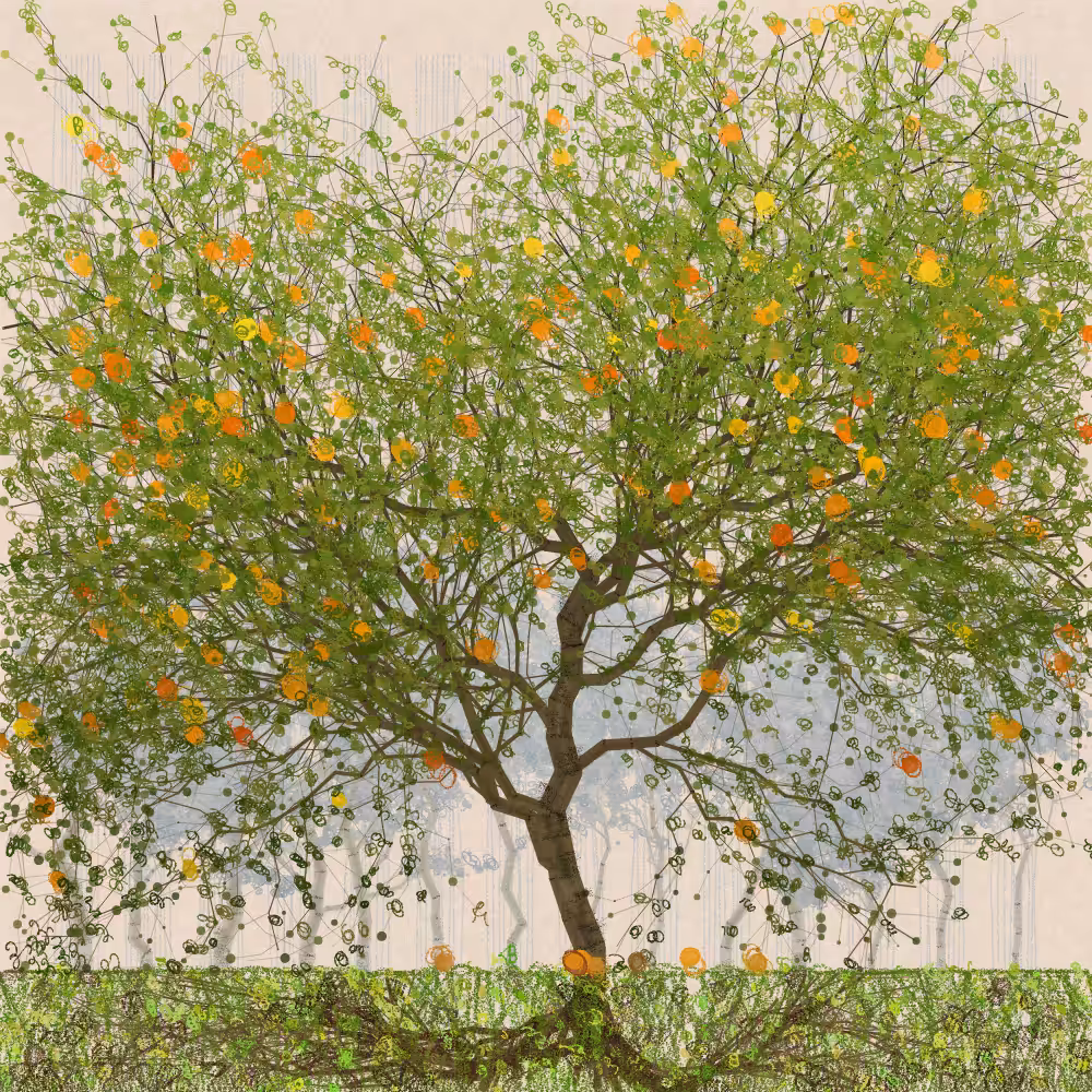 Orchard #300