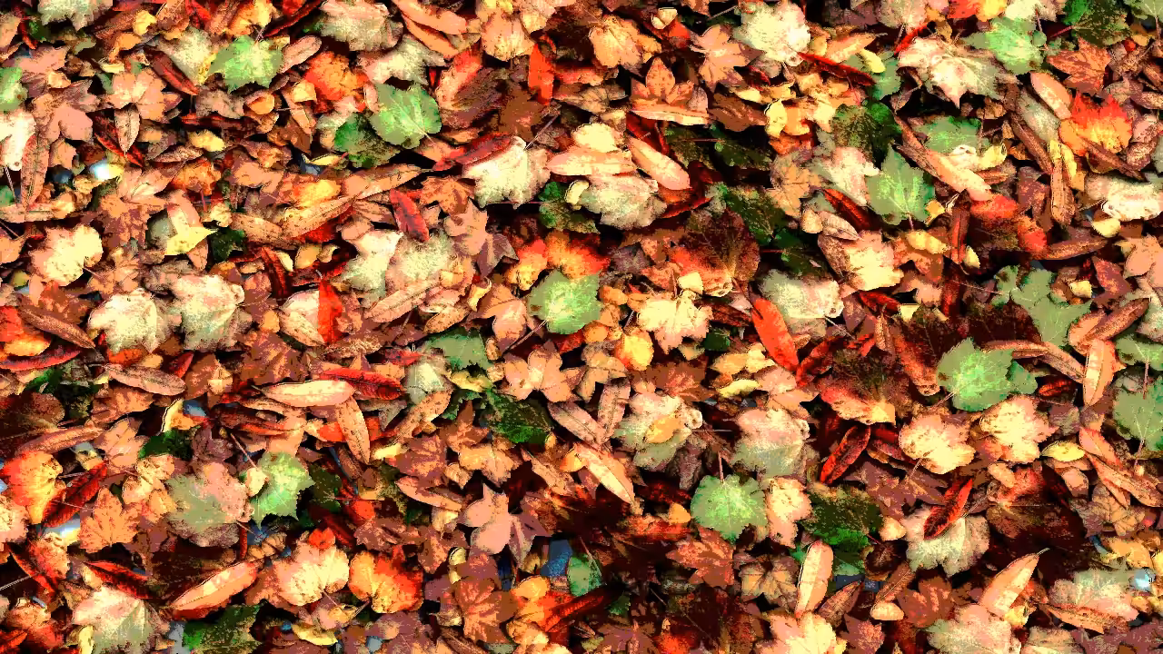 FALL