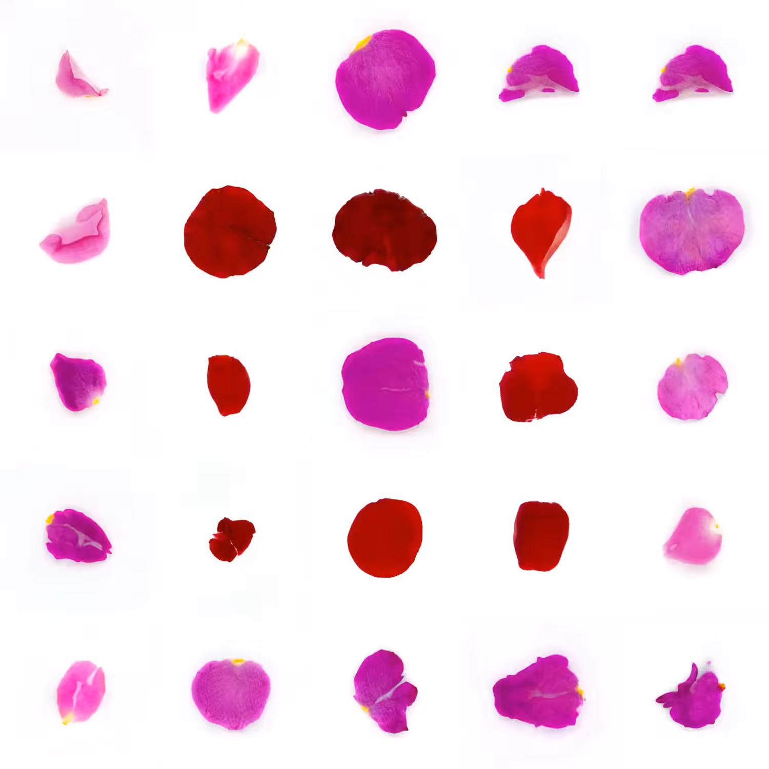 Infinite Petals 5x5#1428