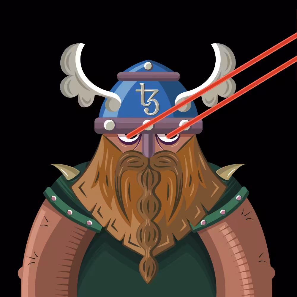 TEZ VIKINGS 11