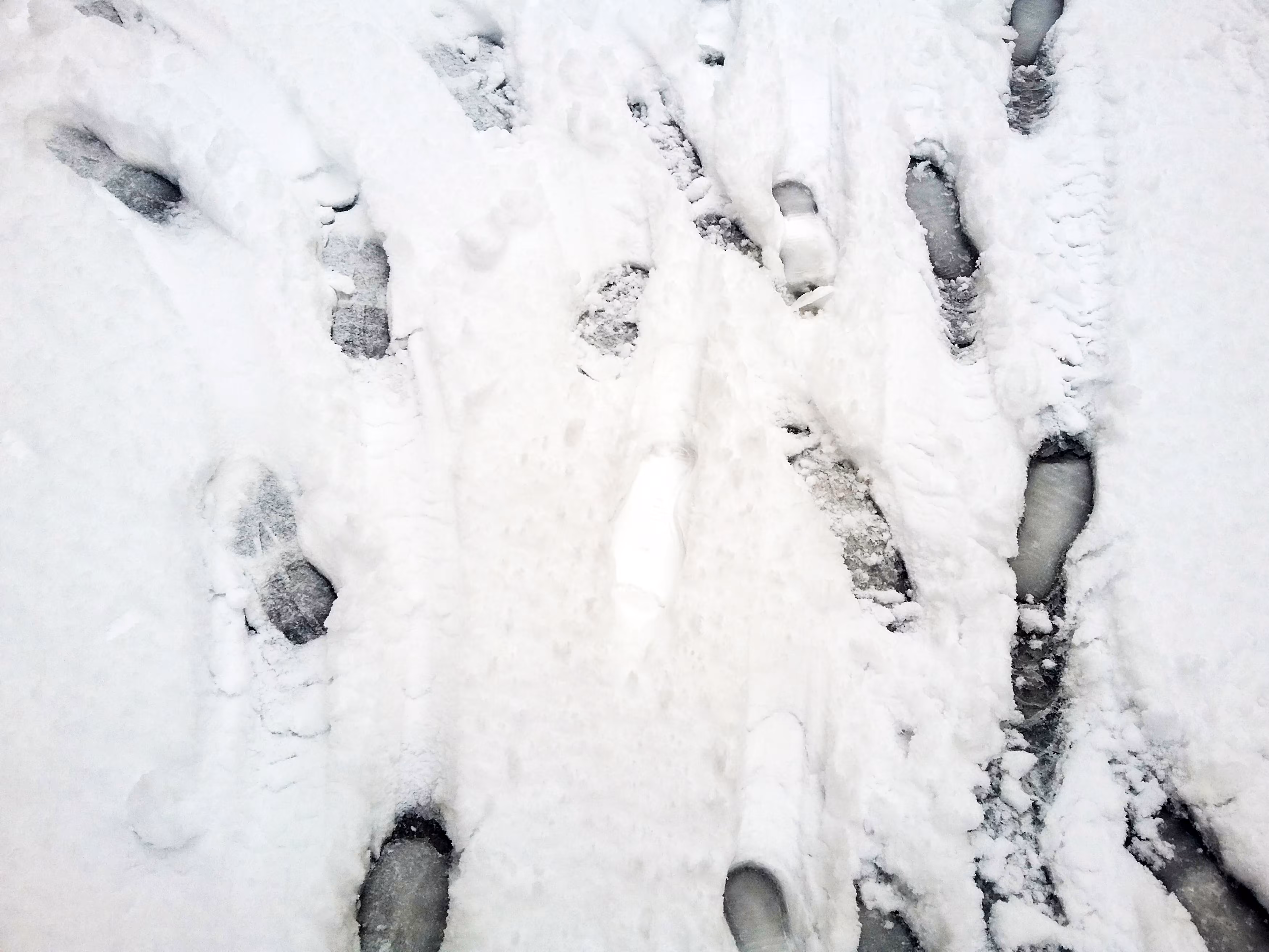 Footprints on The Snow #1