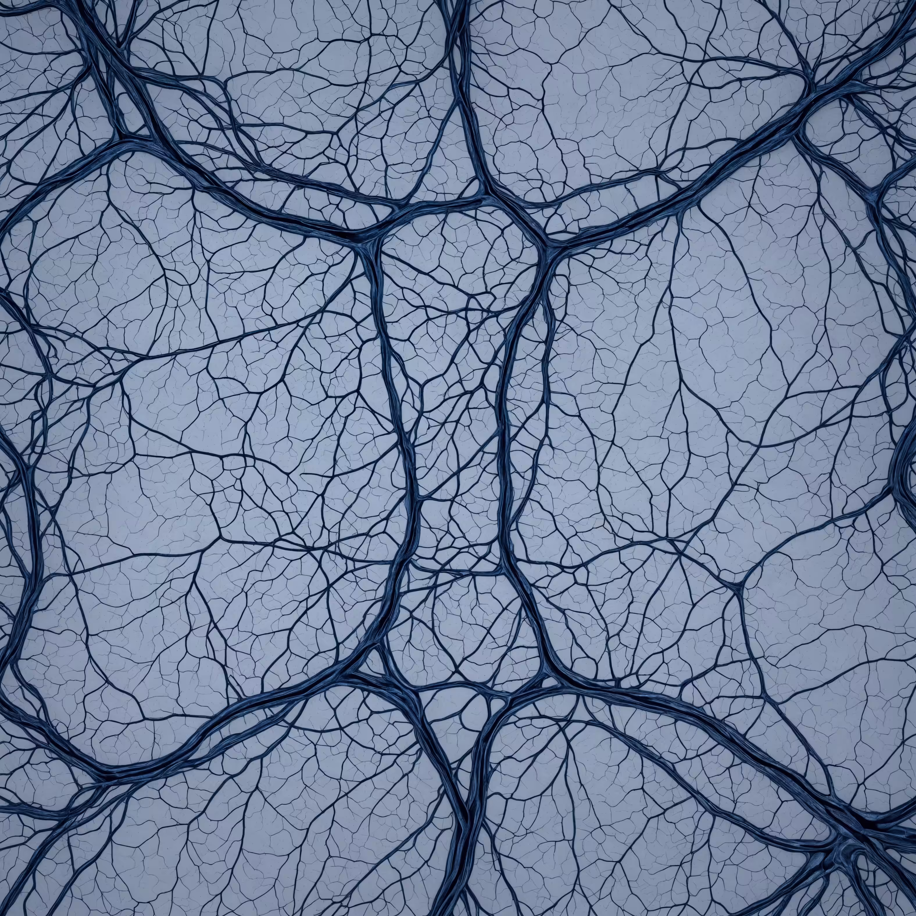 Vascular Bloodstream Veins 8K