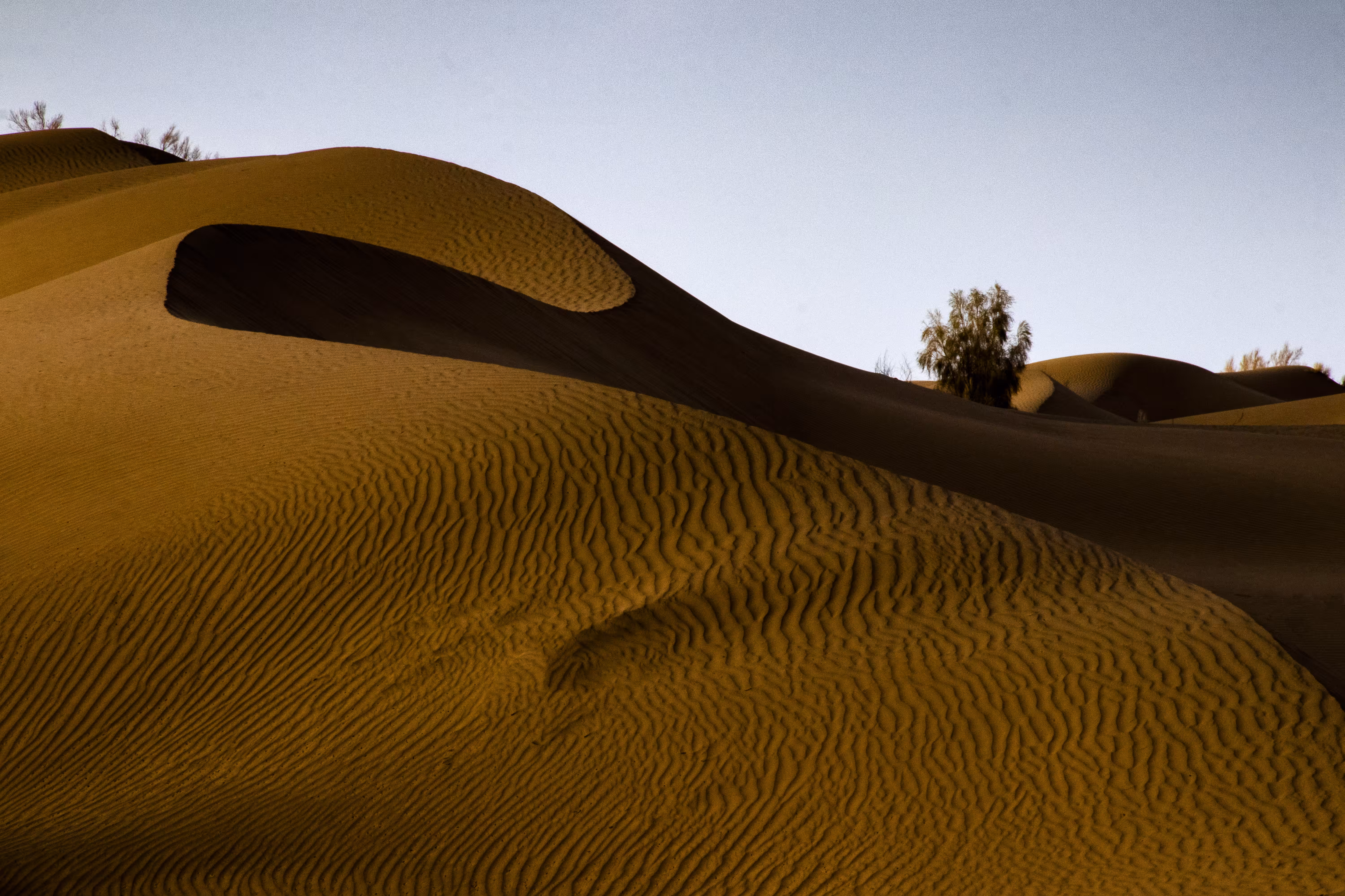 1/1 : Desert