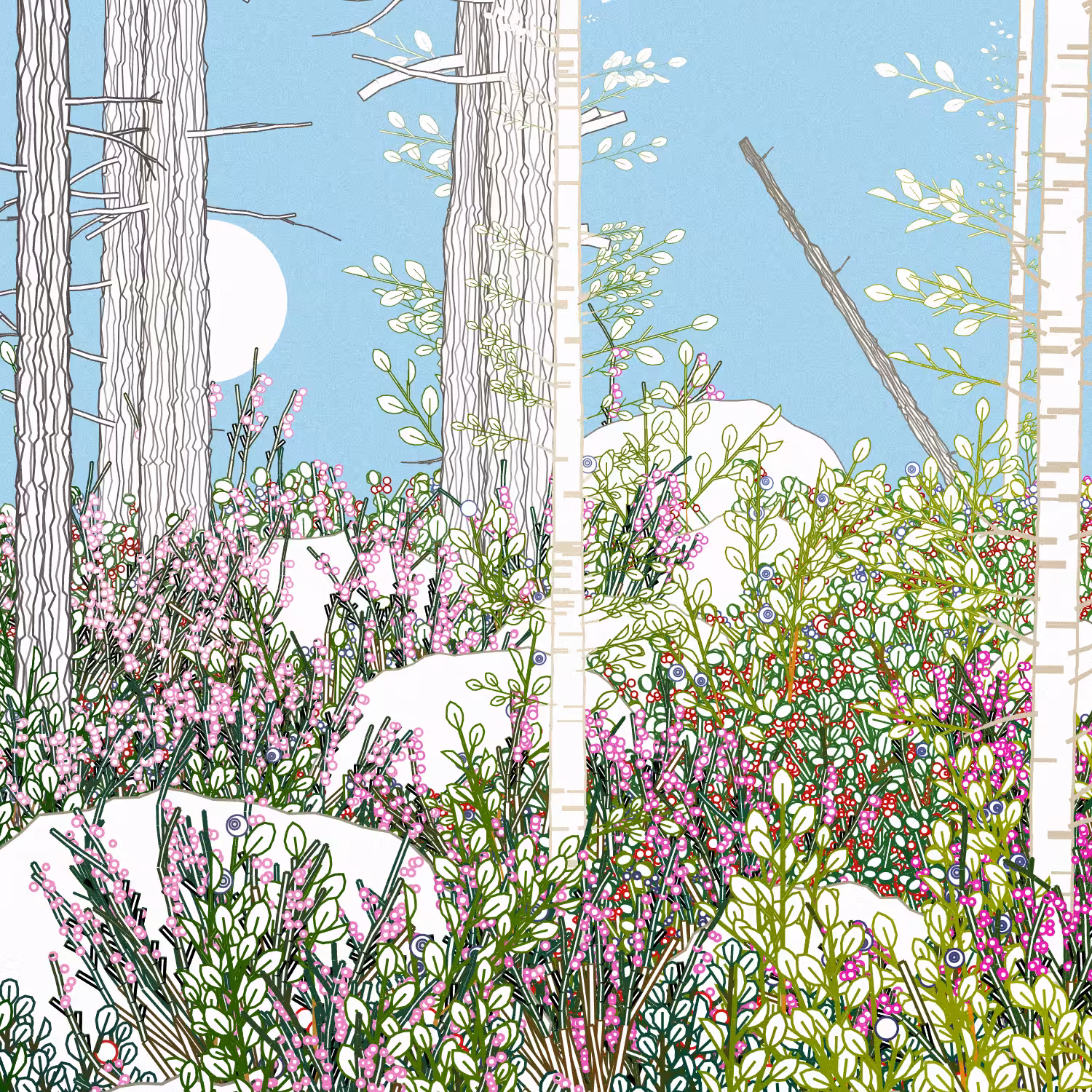 Swedish Forest #74