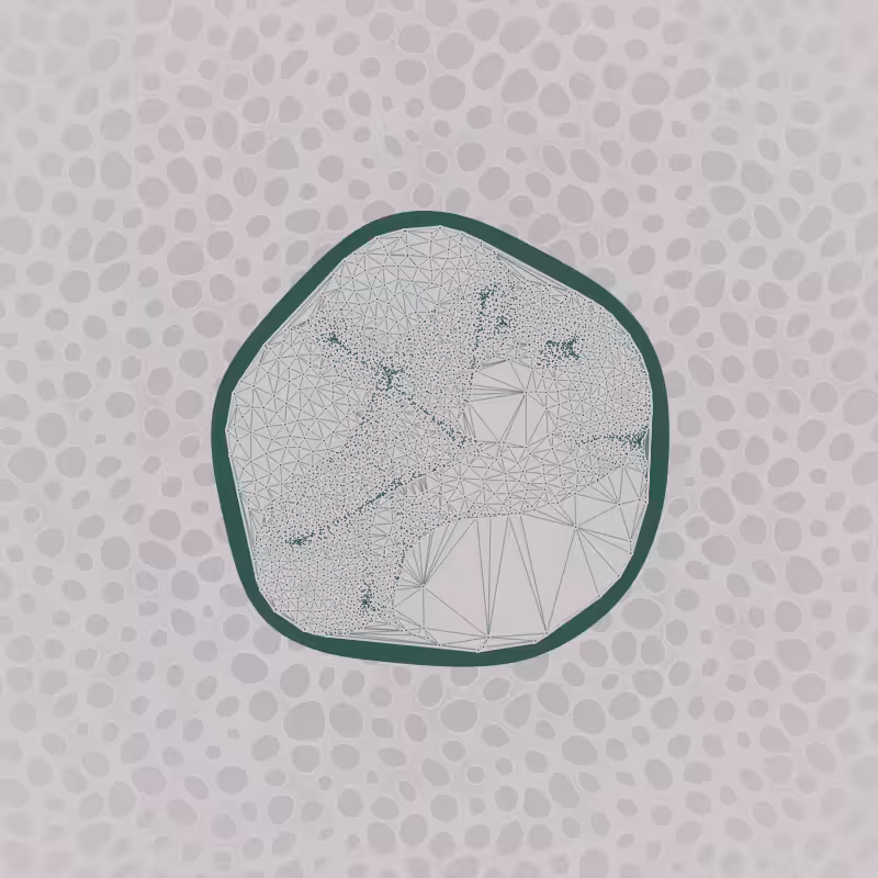 Protista #17