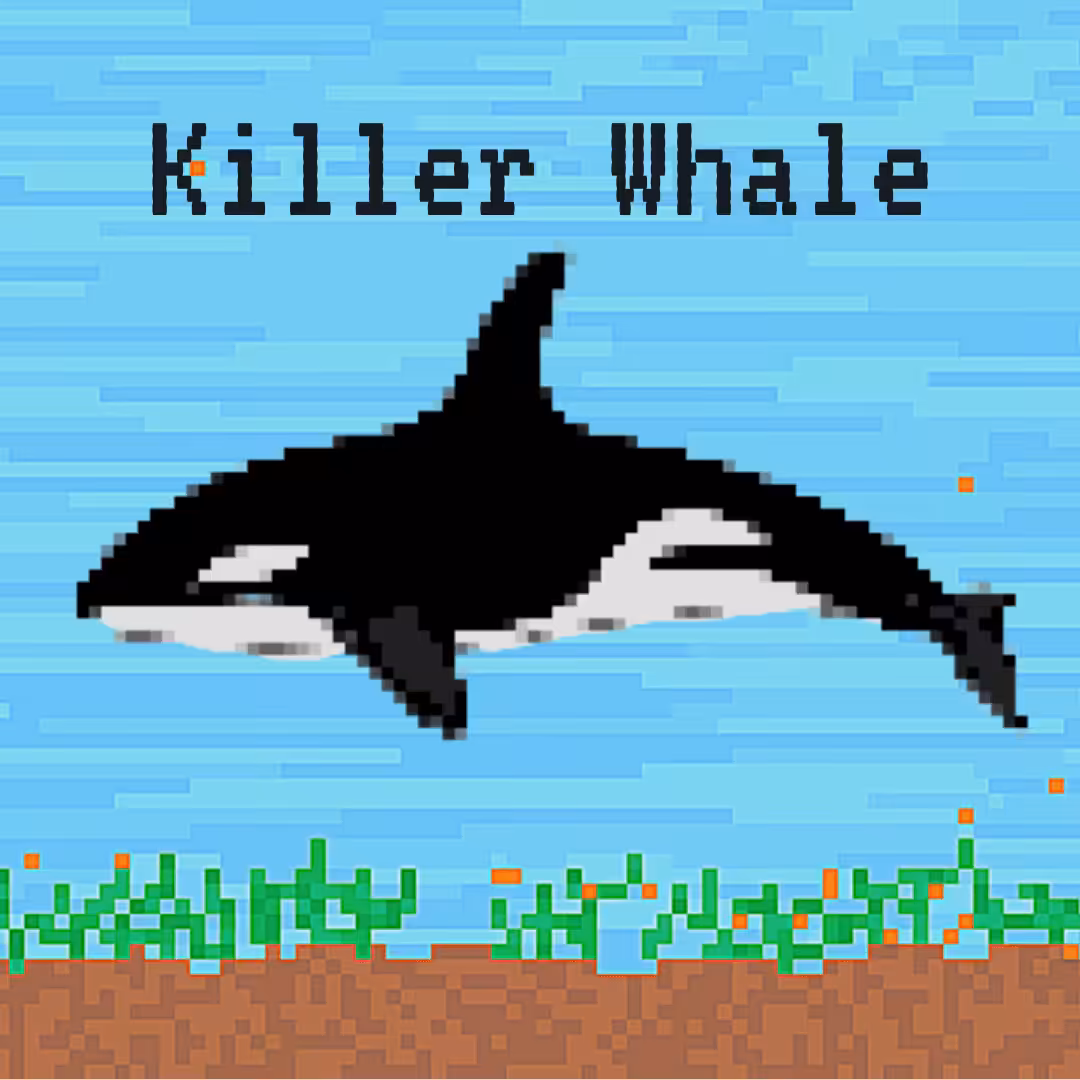 Killer Whale