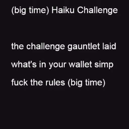 (big time) Haiku Cha...