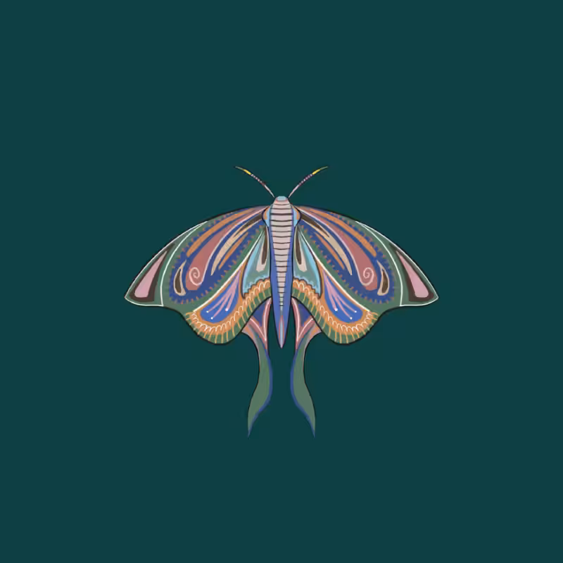 The Moth Experiment 2.0 P2 #17