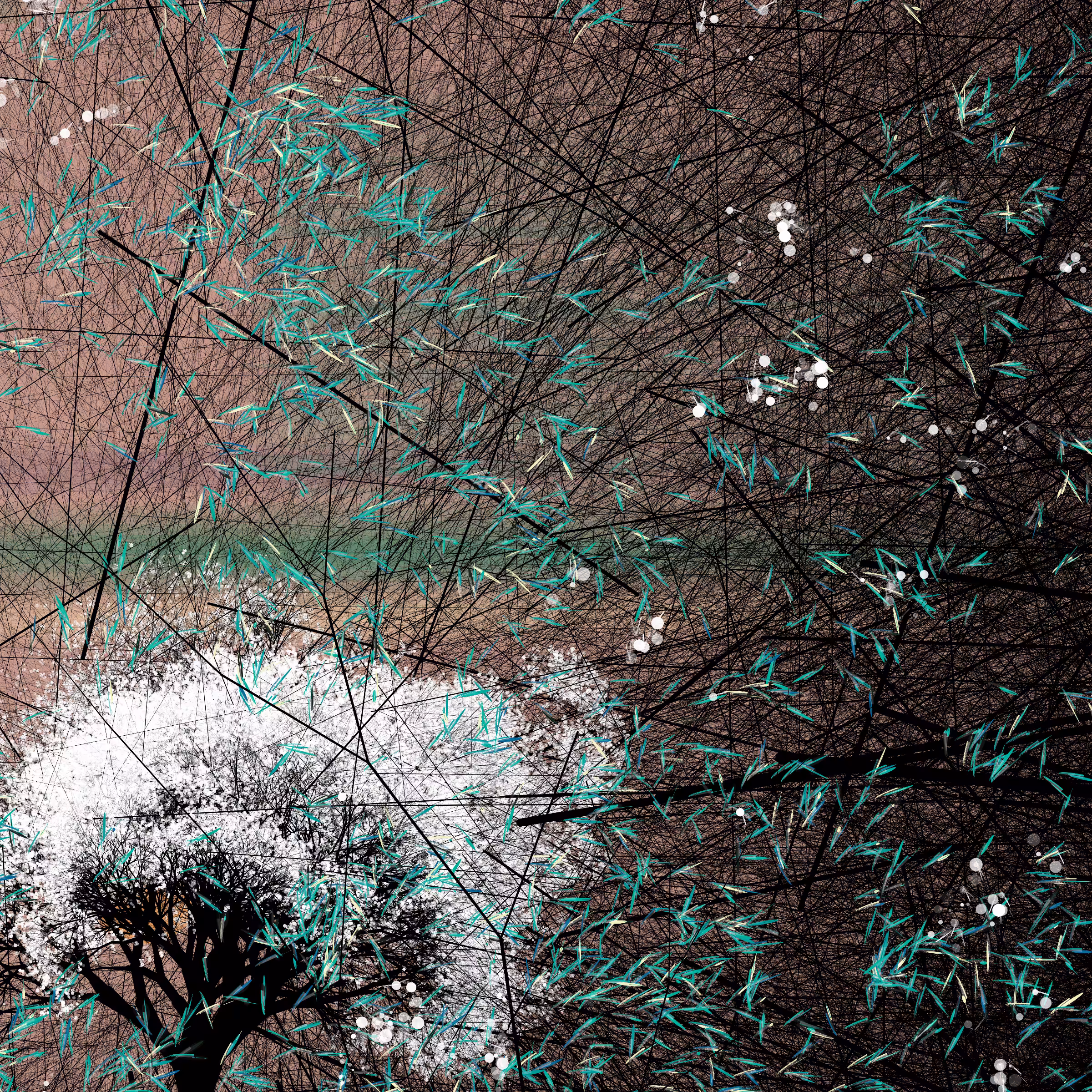 conversation with the wind #496