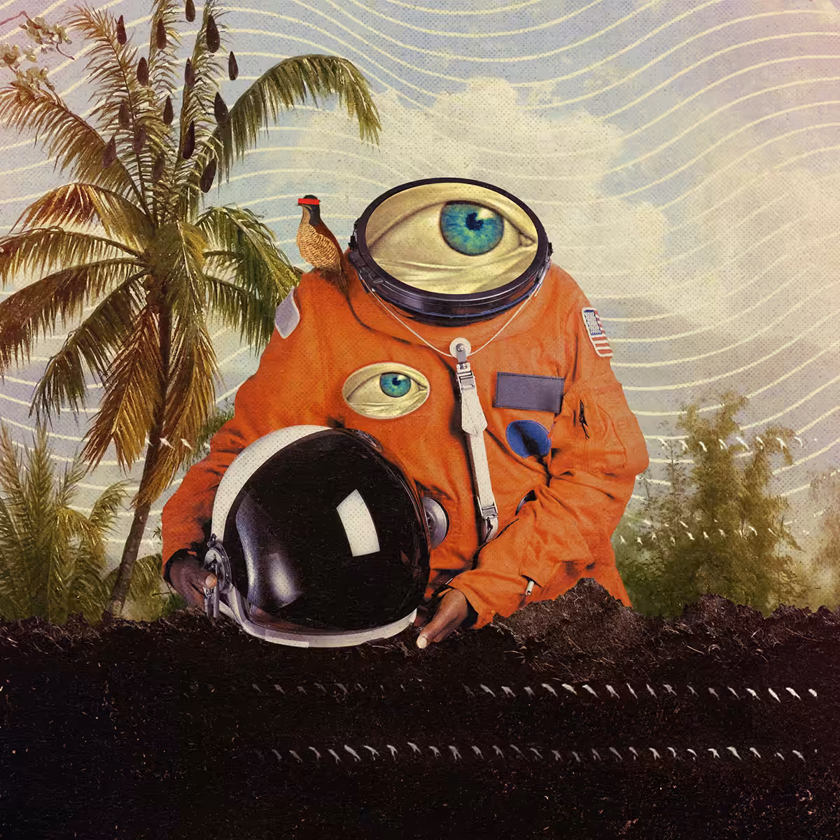 Astro Cuts #006 The Watcher