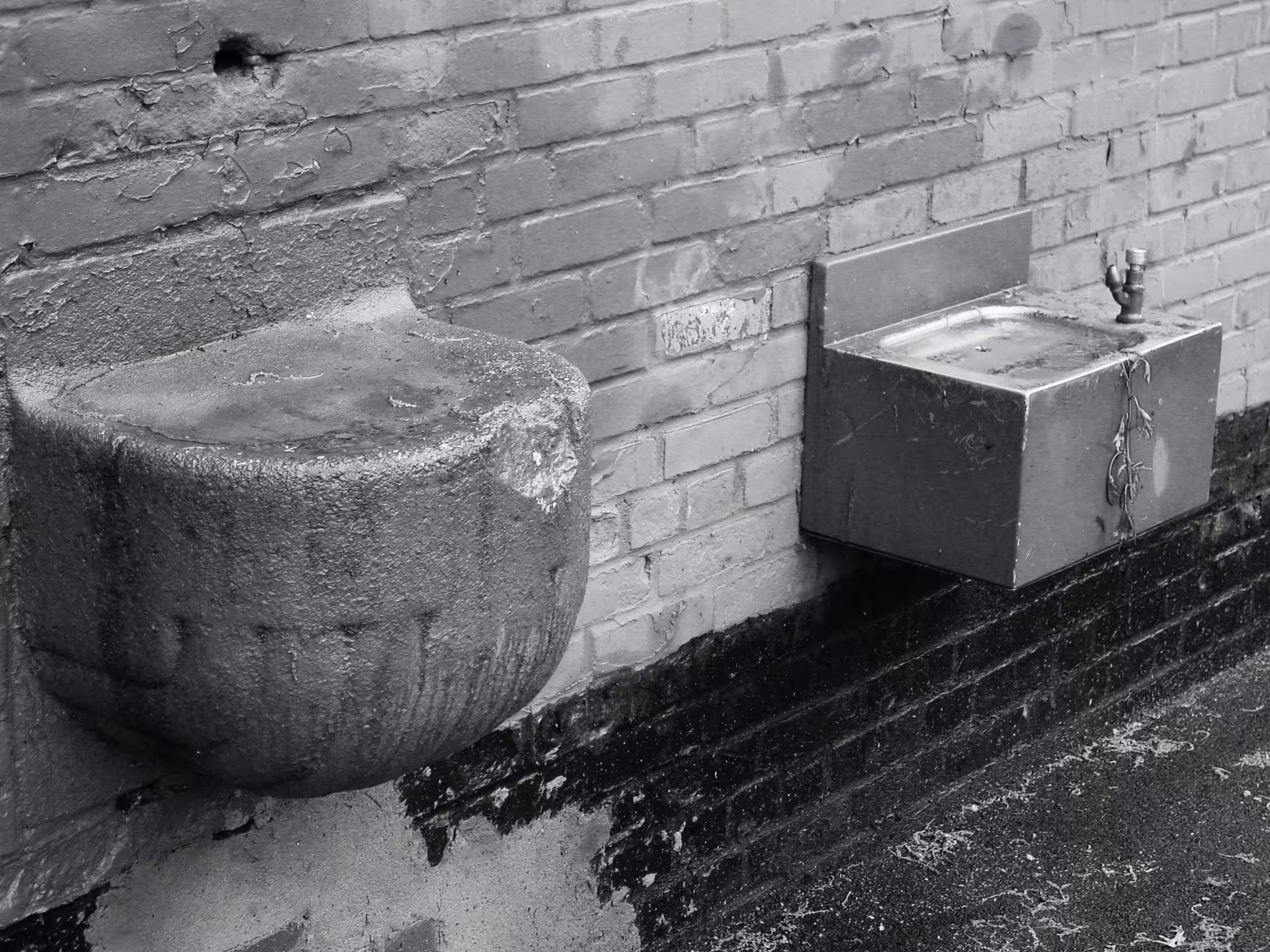 Fountain of Youth