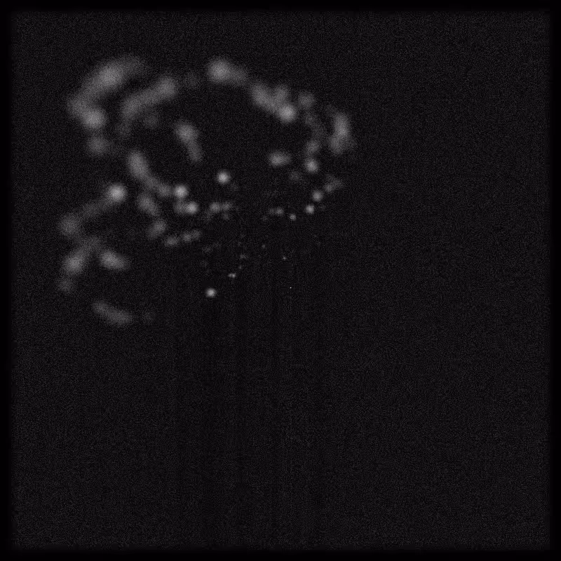 Rays & Dust #41
